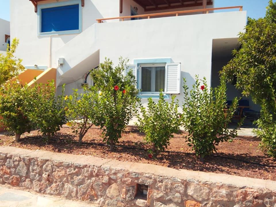 Alkioni Sea View Apartment Káto Zákros Exterior foto