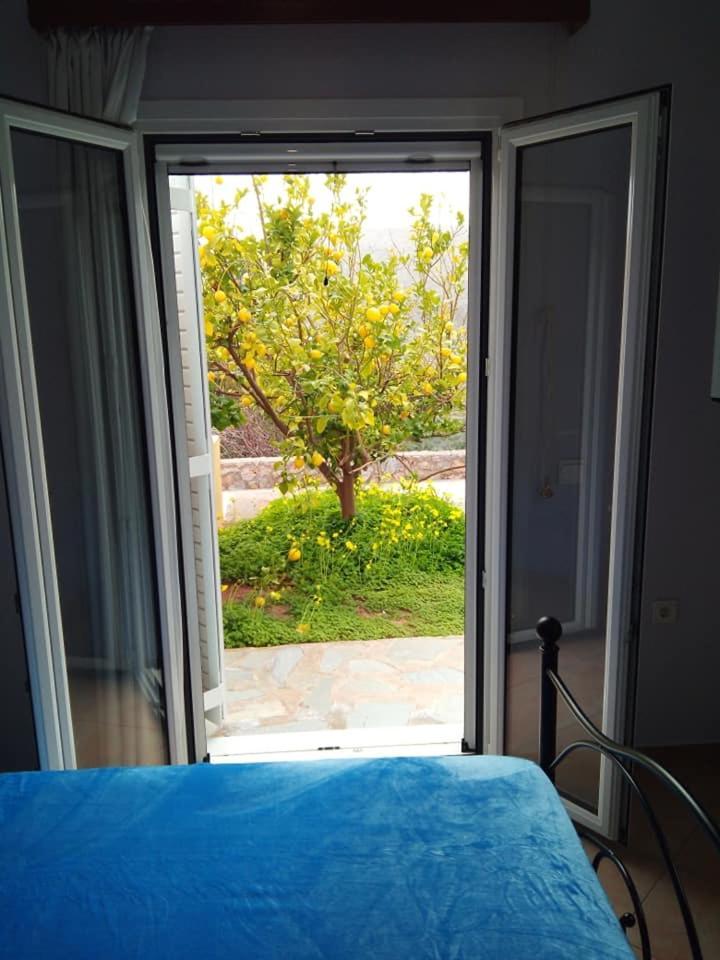 Alkioni Sea View Apartment Káto Zákros Exterior foto